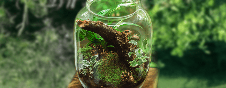 Osha-Level-3-Award-in-Environmental-Management-OSHAS 